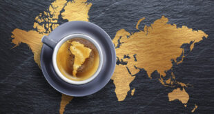 آشنایی با مهد قهوه جهان و بهترین تولیدکنندگان قهوه در جهان
