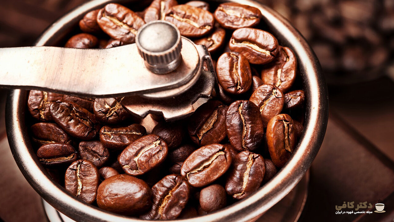 ویژگی‌های خاص دانه قهوه روبوستا