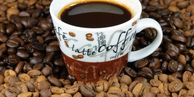 مقایسه و تفاوت قهوه عربیکا و روبوستا