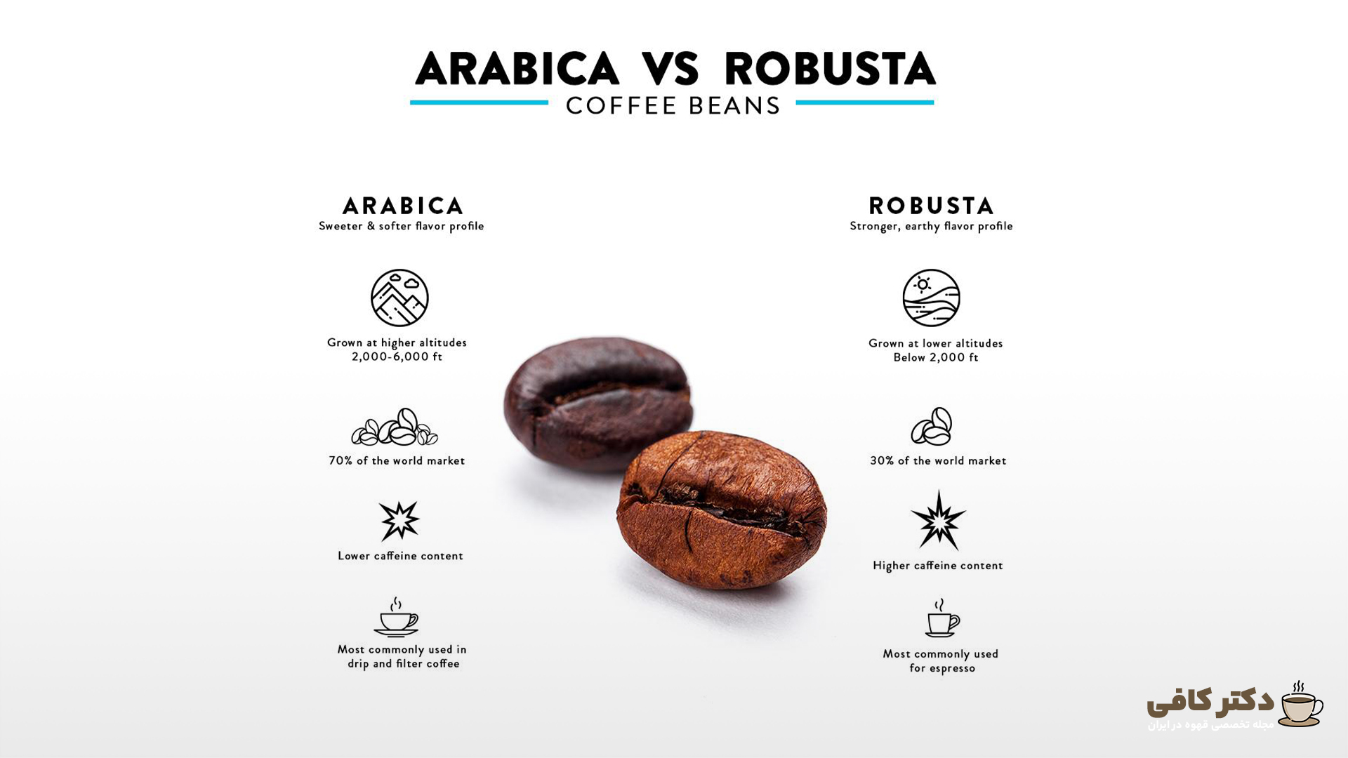 Кофе 5 букв. Арабика и Робуста. Robusta and Arabica. Арабика и Робуста что кислее. Виды робусты кофе.