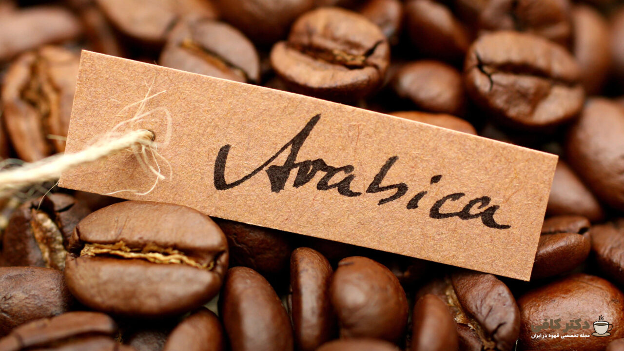 دانه قهوه عربیکا، از محبوب ترین نوع دانه های قهوه هستند.