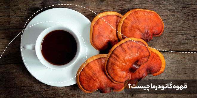 قهوه گانودرما یک نوشیدنی قهوه حاوی عصاره قارچ گانودرما است که به دلیل فواید سلامتی که این نوع قهوه دارد، بسیار محبوب است.