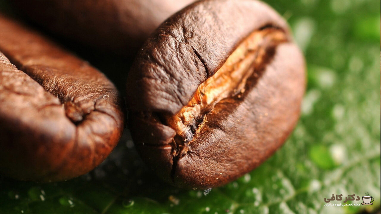 خوردن دانه های قهوه، میتواند خاصیت های بسیاری برای شما داشته باشد.
