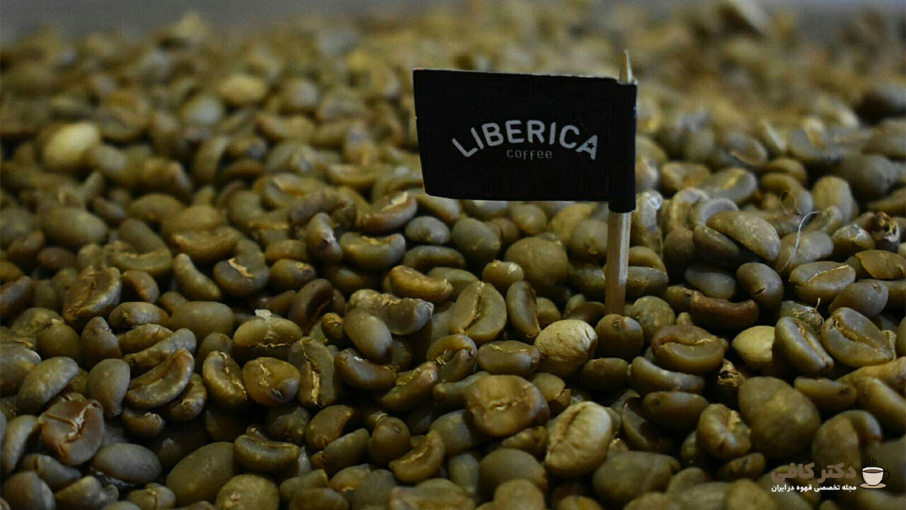 دانه قهوه لیبریکا، بیشتر در کشور های آفریقایی کشت می‌شود.
