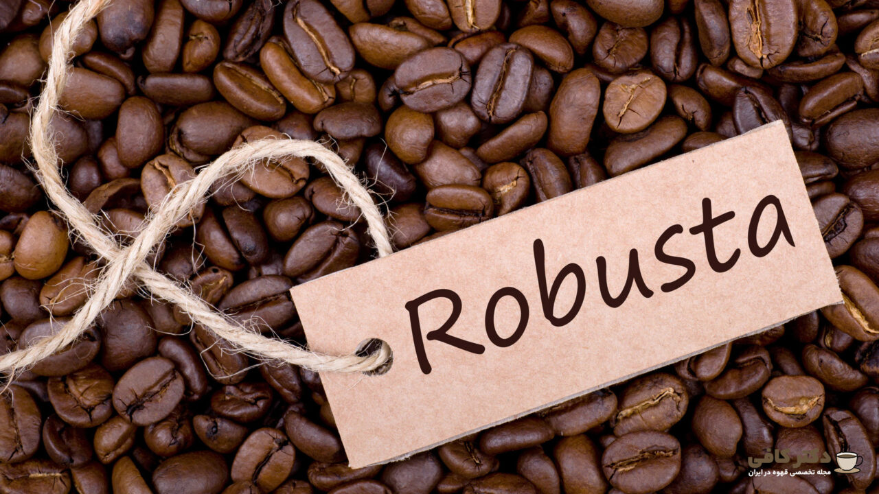 دانه قهوه روبوستا، بیشتر در کشور های آسیایی و آفریقایی رشد می‌شوند.