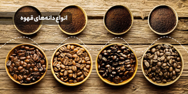 نمایی از انواع دانه قهوه