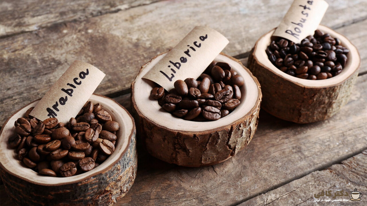 تقریبا هر نوع دانه ای برای تهیه قهوه کمکس مناسب است.