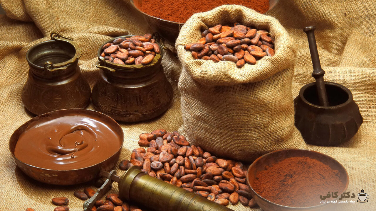کاکائو گیاهی است که از دانه های آن برای تولید شکلات استفاده می شود.